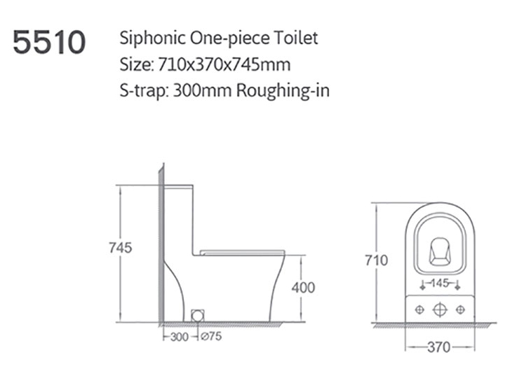 5510 (2).jpg